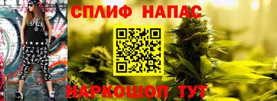 PSILOCYBIN Новокубанск