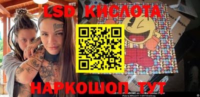 PSILOCYBIN Новокубанск
