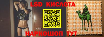 герыч Новодвинск