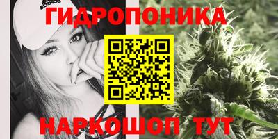 герыч Новодвинск