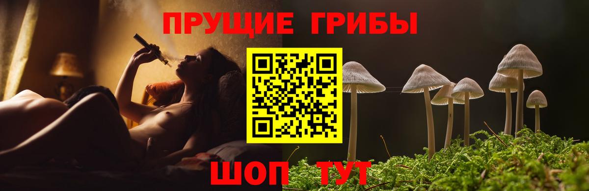 Псилоцибиновые грибы GOLDEN TEACHER  Вход с VPN  Псилоцибиновые грибы прущие грибы  Саратов 